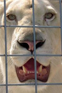 The Circus Lion Journal
