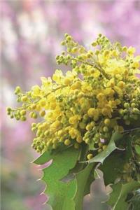 Bush of Oregon-Grape in Spring Journal