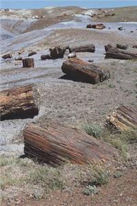 Petrified Forest National Park Arizona Journal