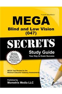 Mega Blind and Low Vision (047) Secrets Study Guide