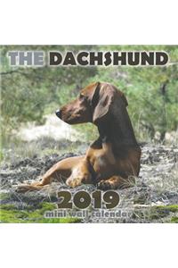 The Dachshund 2019 Mini Wall Calendar
