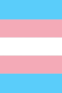 Transgender Pride Flag Sketchbook