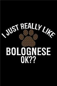 I Just Really Like Bolognese Ok?