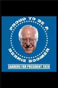 Bernie Sanders for Boomers