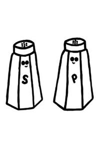 Salt & Pepper Notebook
