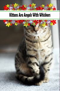 Kittens Are Angels With Whiskers