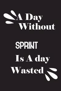 A day without sprint is a day wasted