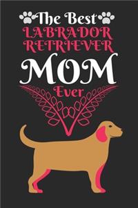 The Best Labrador Retriever Mom Ever