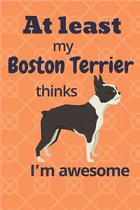 At least My Boston Terrier thinks I'm awesome