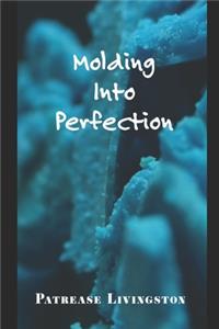 Molding Into Perfection