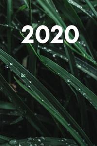Taschenkalender 2020
