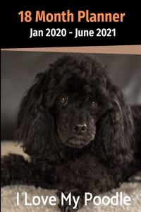Jan 2020 - June 2021 18 Month Planner
