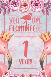 1st Birthday Journal