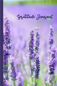 Gratitude Journal