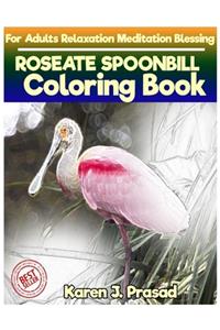 ROSEATE SPOONBILL Coloring book for Adults Relaxation Meditation Blessing