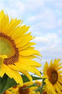 Sunflower Notebook