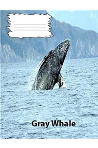 Gray Whales Wide Ruled line Paper Composition Book