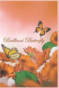 Brilliant Butterfly