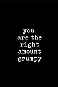 You Are the Right Amount Grumpy