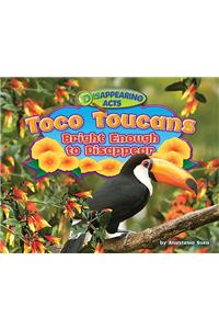 Toco Toucans