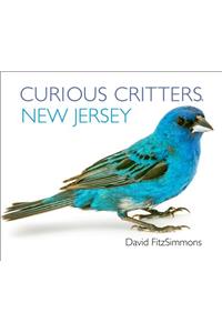 Curious Critters New Jersey
