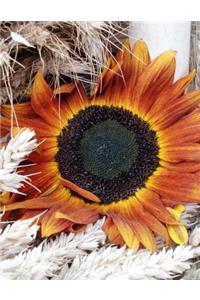 Sunflower Notebook