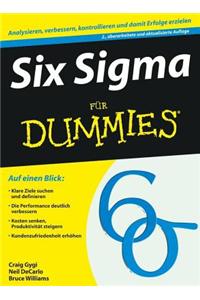 Six Sigma fur Dummies