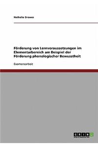 Förderung von Lernvoraussetzungen im Elementarbereich am Beispiel der Förderung phonologischer Bewusstheit