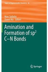 Amination and Formation of Sp2 C-N Bonds