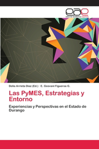 PyMES, Estrategias y Entorno