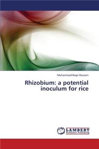 Rhizobium
