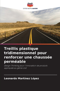 Treillis plastique tridimensionnel pour renforcer une chaussée perméable