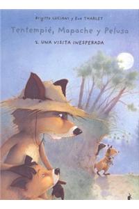 Tentempie, Mapache y Pelusa