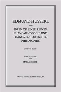 Ideen Zu Einer Reinen Phänomenologie Und Phänomenologischen Philosophie