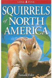 Squirrels of North America