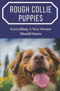 Rough Collie Puppies