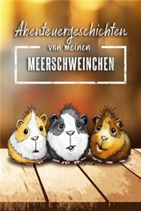 Abenteuergeschichten von meinen Meerschweinchen
