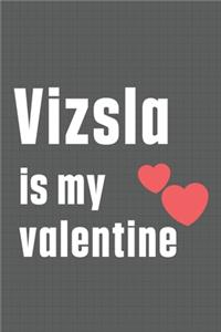 Vizsla is my valentine