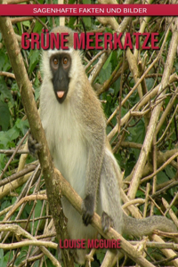 Grüne Meerkatze