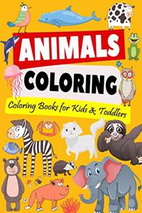 Coloring Books for Kids & Toddlers