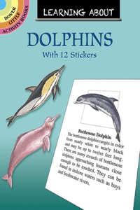 Learning About Dolphins