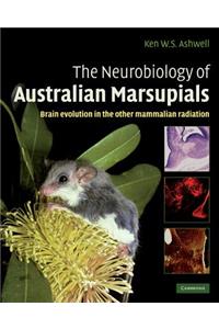 Neurobiology of Australian Marsupials