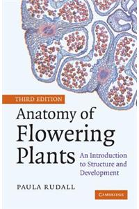 Anatomy of Flowering Plants