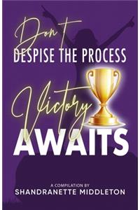 Don't Despise the Process