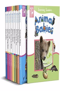 Learning Ladders 2 Hardcover â€“ 1 July 2016