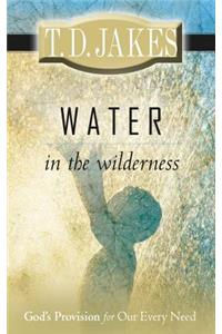 Water in the Wilderness: God's Provision for Our Every Need