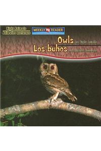 Owls Are Night Animals / Los Búhos Son Animales Nocturnos