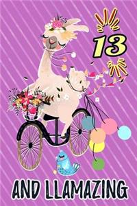 13 and Llamazing