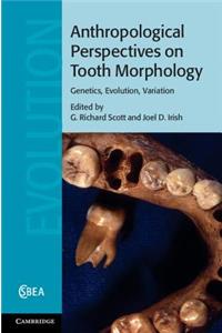 Anthropological Perspectives on Tooth Morphology