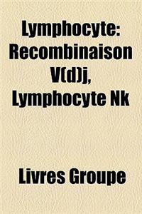 Lymphocyte